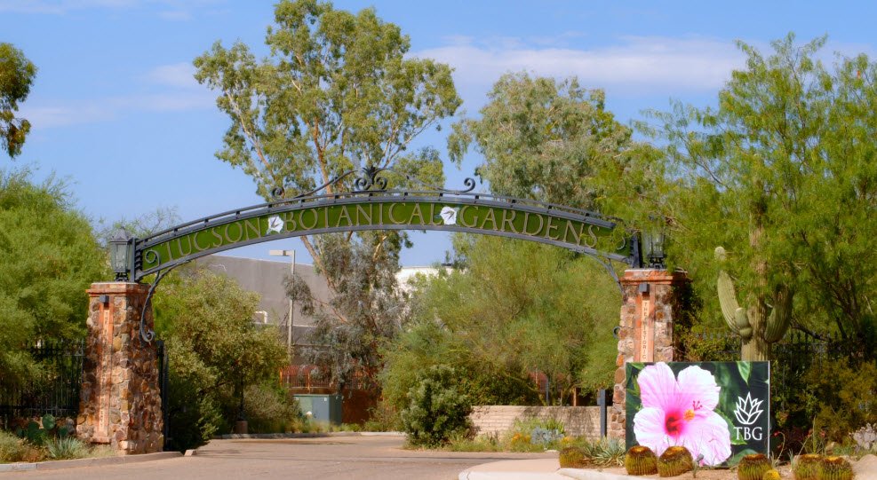 Tucson Botanical Gardens, United States